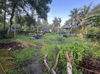 Residential Land, Alleppey