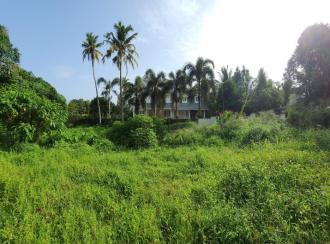 വാസയോഗ്യമായ ഭൂമി വില്പനയ്ക്ക് കോട്ടയം, Kottayam town, Chuttuveli