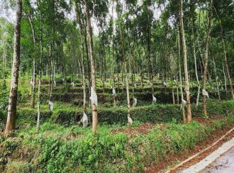 Residential House Villa for Sale in Kottayam, Pala, Kudakkachira