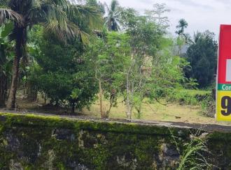 Residential Land for Sale in Pathanamthitta, Kozhencherry, Chettimukku