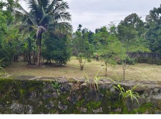 Residential Land for Sale in Pathanamthitta, Kozhencherry, Chettimukku