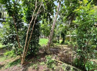Residential Land for Sale in Pathanamthitta, Kozhencherry, Chettimukku