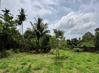 Residential Land for Sale in Pathanamthitta, Kozhencherry, Chettimukku