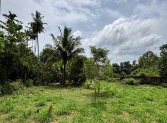 Residential Land for Sale in Pathanamthitta, Kozhencherry, Chettimukku