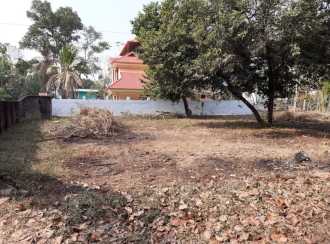 Residential Land for SaleErnakulam, Varappuzha, Varappuzha