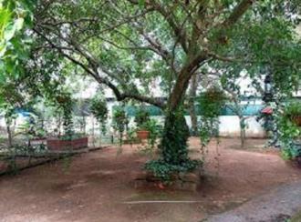 Commercial Building for Sale in Ernakulam, Edappally, Edapally, Market Road