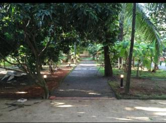 Commercial Building for Sale in Ernakulam, Edappally, Edapally, Market Road