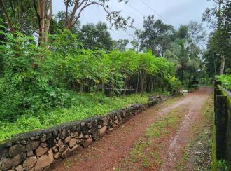 Residential Land for Sale in Kottayam, Vakathanam, Njaliyakuzhy