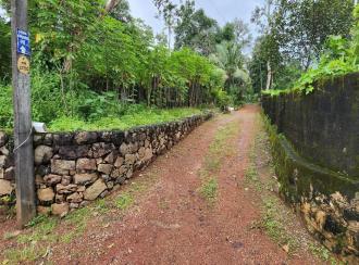 Residential Land for Sale in Kottayam, Vakathanam, Njaliyakuzhy