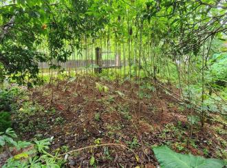 Residential Land for Sale in Kottayam, Vakathanam, Njaliyakuzhy