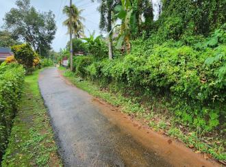 Residential Land for Sale in Kottayam, Vakathanam, Njaliyakuzhy