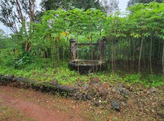 Residential Land for Sale in Kottayam, Vakathanam, Njaliyakuzhy