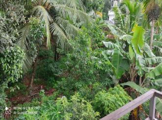 Residential Land for Sale in Kollam, Anchal, Agasthicode