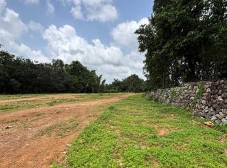 Residential Land for Sale in Pathanamthitta, Kozhencherry, Nellikala, Nellikala junction