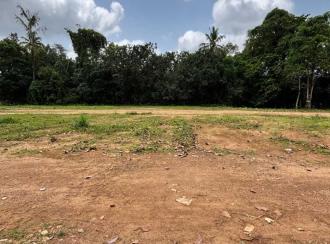 Residential Land for Sale in Pathanamthitta, Kozhencherry, Nellikala, Nellikala junction