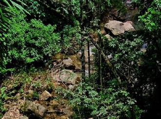 Commercial Land for Sale in Kottayam, Erattupetta, Teekoy