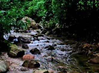 Commercial Land for Sale in Kottayam, Erattupetta, Teekoy