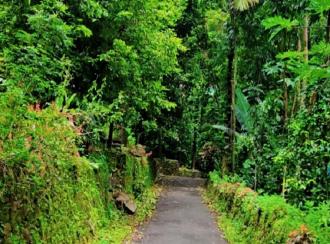 Commercial Land for Sale in Kottayam, Erattupetta, Teekoy