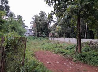 Residential Land for SalePalakkad, Ottappalam, Palappuram