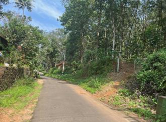 Residential Land for SaleErnakulam, Piravom, Onakkoor