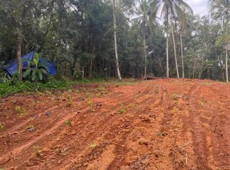 വാസയോഗ്യമായ ഭൂമി വില്പനയ്ക്ക് Kannur, Iritty, Thillenkeri