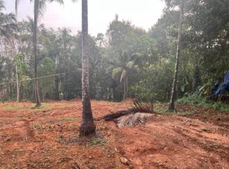 Residential Land for SaleKannur, Iritty, Thillenkeri