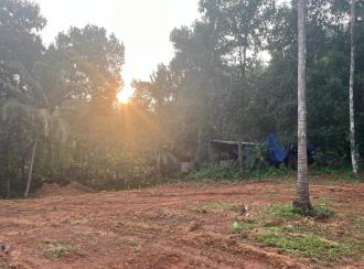 വാസയോഗ്യമായ ഭൂമി വില്പനയ്ക്ക് Kannur, Iritty, Thillenkeri