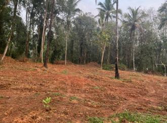 വാസയോഗ്യമായ ഭൂമി വില്പനയ്ക്ക് Kannur, Iritty, Thillenkeri
