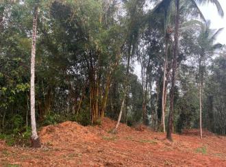വാസയോഗ്യമായ ഭൂമി വില്പനയ്ക്ക് Kannur, Iritty, Thillenkeri