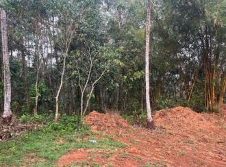 വാസയോഗ്യമായ ഭൂമി വില്പനയ്ക്ക് Kannur, Iritty, Thillenkeri