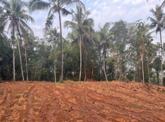 വാസയോഗ്യമായ ഭൂമി വില്പനയ്ക്ക് Kannur, Iritty, Thillenkeri