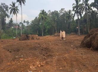 Residential Land for Sale in Pathanamthitta, Kozhencherry, Thumpamon thazham