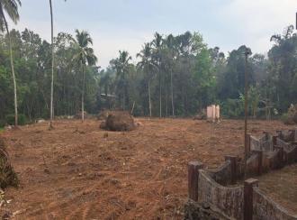 Residential Land for Sale in Pathanamthitta, Kozhencherry, Thumpamon thazham