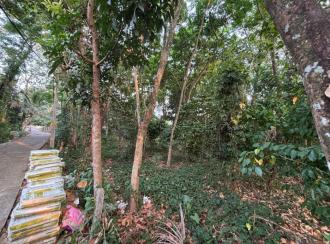 Agricultural Land for Sale