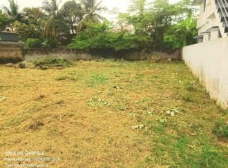 Residential Land for SalePalakkad, Palakkad, Manappullikavu