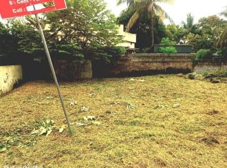 Residential Land for Sale in Palakkad, Palakkad, Manappullikavu