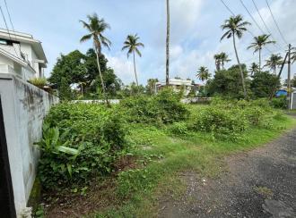 Residential Land for SaleErnakulam, Paravur, Karumaloor
