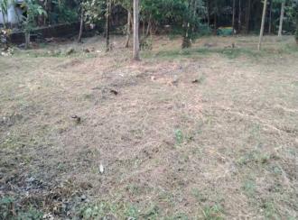 Residential Land for Sale in Malappuram, Perinthalmanna, Perinthalmanna, kottayakkal near kadungapuram