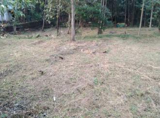 Residential Land for Sale in Malappuram, Perinthalmanna, Perinthalmanna, kottayakkal near kadungapuram