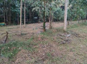 Residential Land for Sale in Malappuram, Perinthalmanna, Perinthalmanna, kottayakkal near kadungapuram
