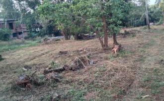 Residential Land for Sale in Malappuram, Perinthalmanna, Perinthalmanna, kottayakkal near kadungapuram
