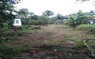 Residential Land for Sale in Malappuram, Perinthalmanna, Perinthalmanna, kottayakkal near kadungapuram