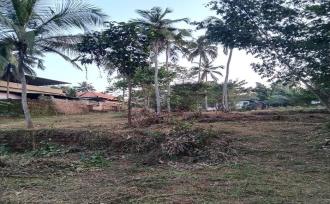Residential Land for Sale in Malappuram, Perinthalmanna, Perinthalmanna, kottayakkal near kadungapuram