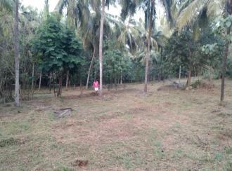 Residential Land for Sale in Malappuram, Perinthalmanna, Perinthalmanna, kottayakkal near kadungapuram