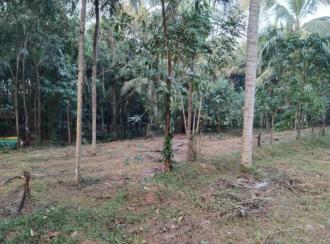 Residential Land for SaleMalappuram, Perinthalmanna, Perinthalmanna