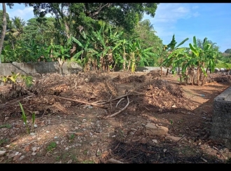 Residential Land for SalePathanamthitta, Thiruvalla, Pullad