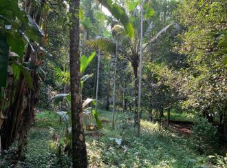 Residential Land for Sale
