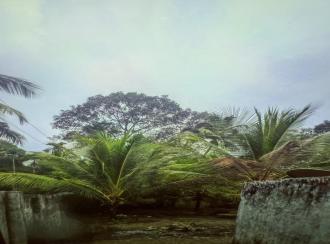 Residential Land, Alleppey