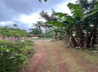 Residential Land for SaleKottayam, Kottayam town, Channanikadu