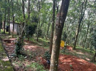 Agricultural Land for SalePathanamthitta, Mallappally, Perumpetty